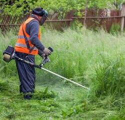 Kosenie vysokej buriny môže byť bez vhodných techník a nástrojov zdĺhavou úlohou.